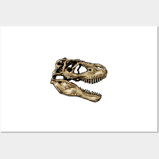 Dinosaur Skull Albertosaurus Sticker Posters and Art